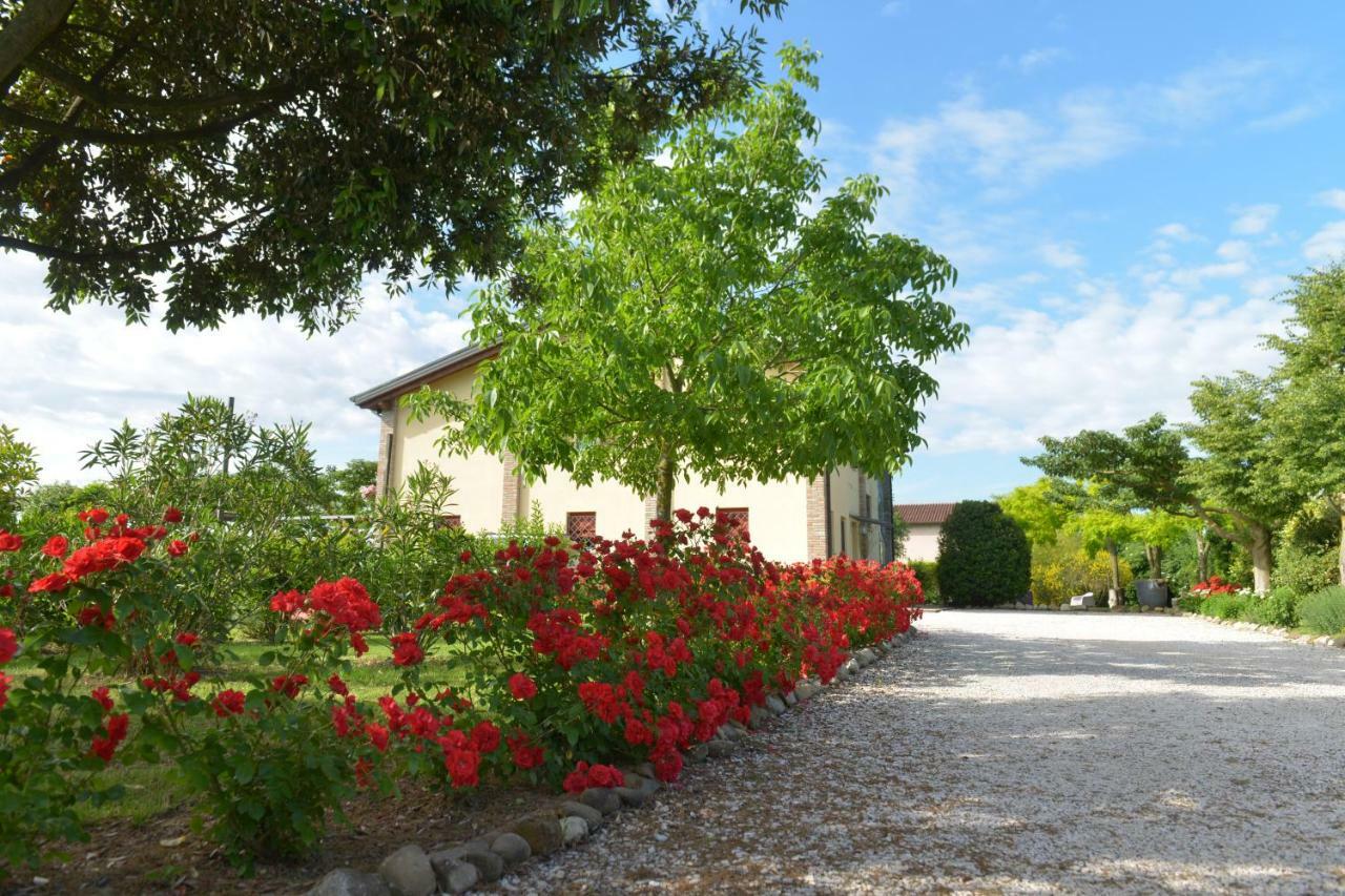 B&B Ca Di Viazadur Faenza Exteriér fotografie